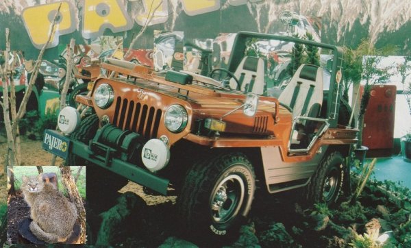 Този първи прототип с името Pajero, и с поразителна прилика с американския Jeep, е представен на Токийския автосалон през 1973. Самата дума Pajero произлиза от Пампаската котка - хищник от семейство леопардови, който обитава южните области на Аржентина и чието латинско наименование е Leopardus pajeros. Понеже на испански жаргон pajero е обидна дума, на някои пазари моделът се предлага като Montero или Monterey. 
